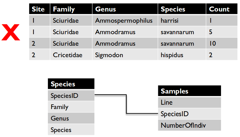 No redundant information example